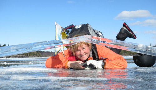 Lotta under isen Lottas profilbild på skridskonätet